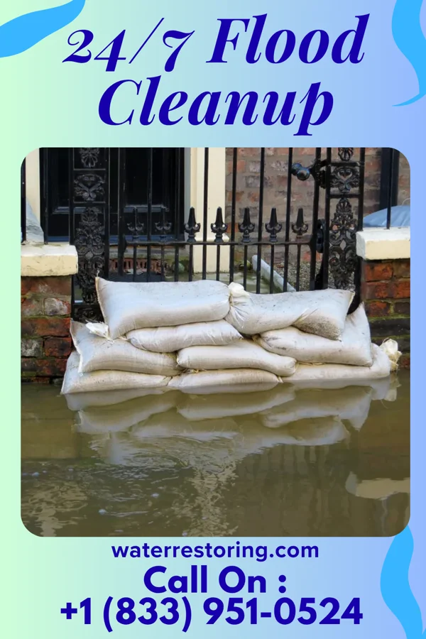 24/7 Flood Cleanup in Iron City, GA