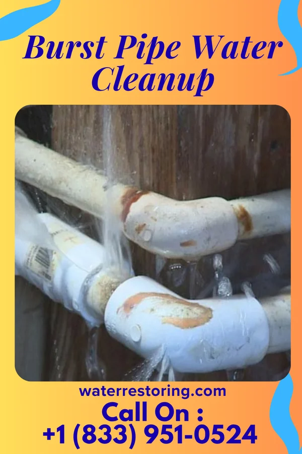 Burst Pipe Water Cleanup in Iron City, GA
