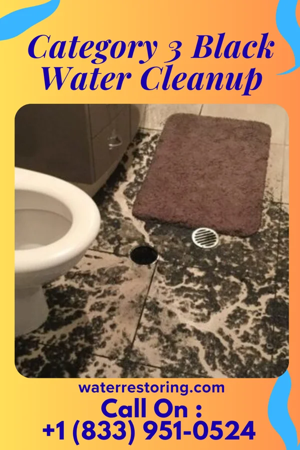 Category 3 Black Water Cleanup in Iron City, GA