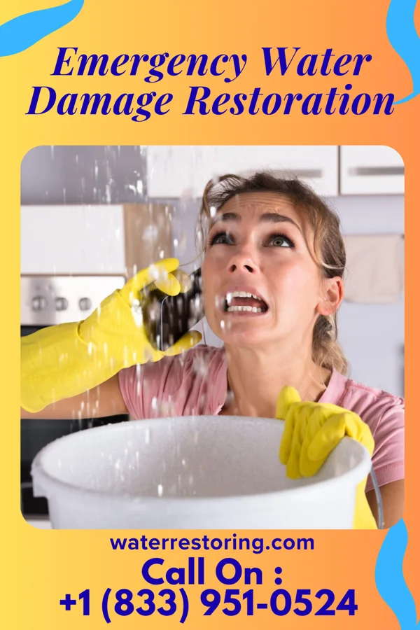 Emergency Water Damage Restoration in Iron City, GA