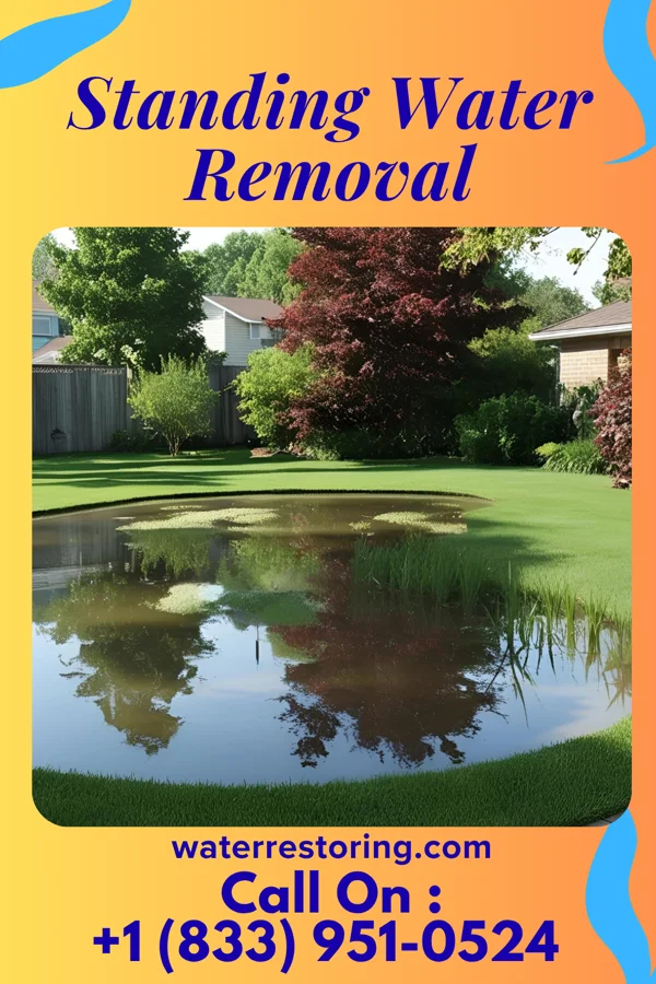 Standing Water Removal in Iron City, GA